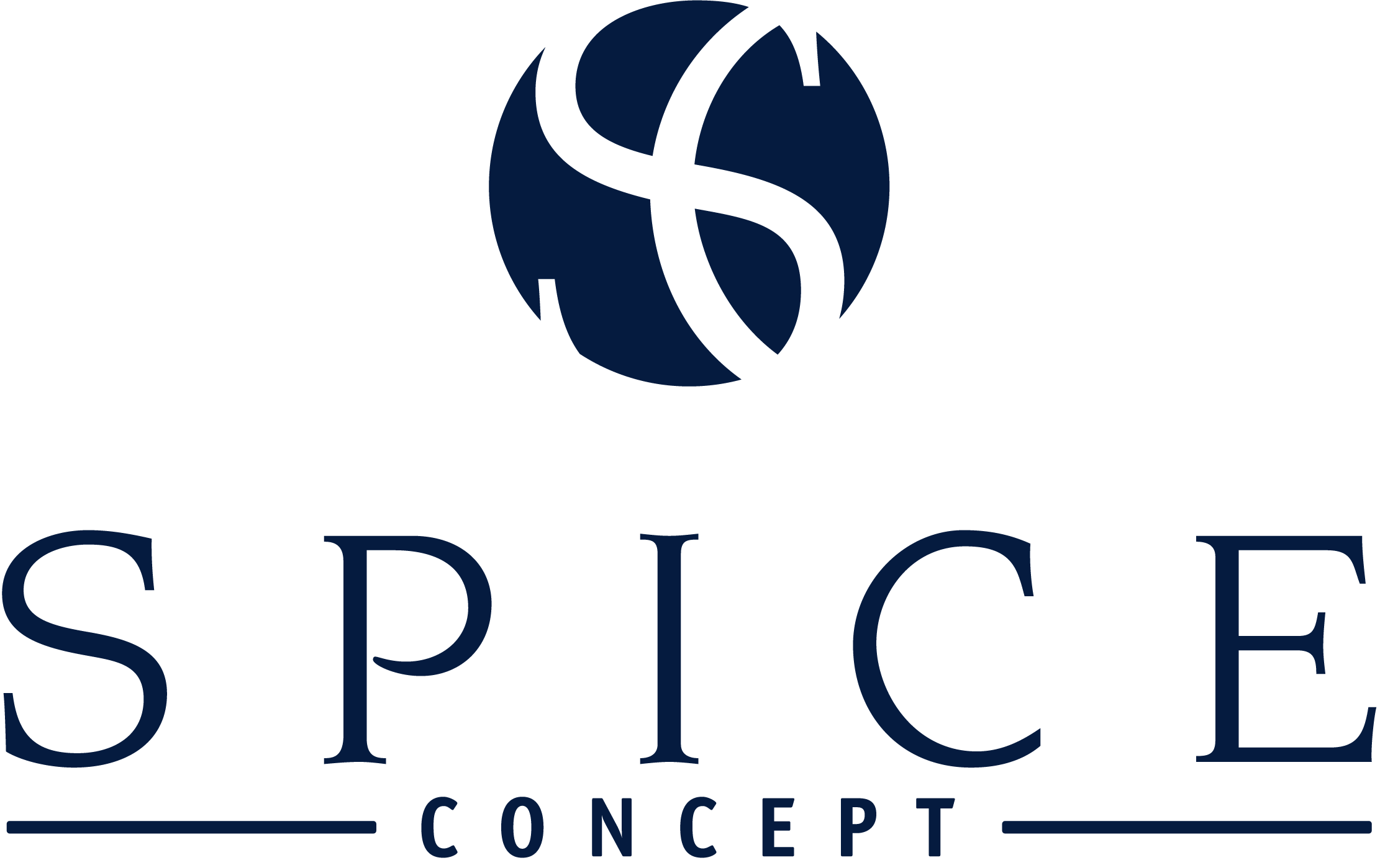 Logo de Spice Concept PNG